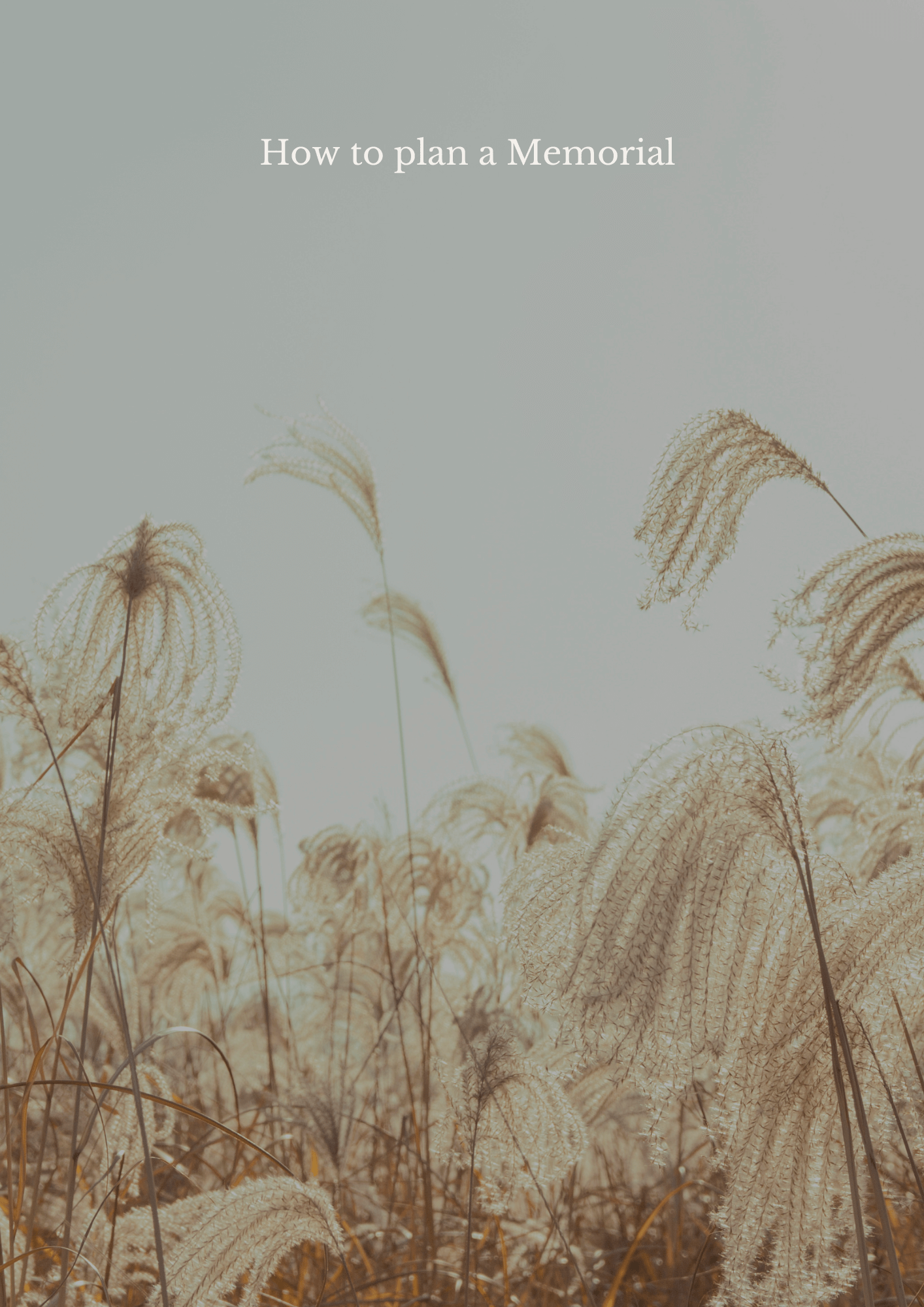 Blue-Beige-Male-Funeral-program