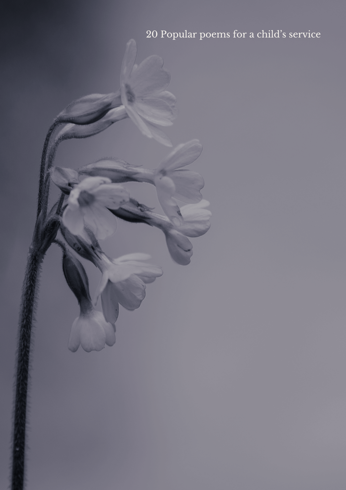 Blue-Beige-Male-Funeral-program